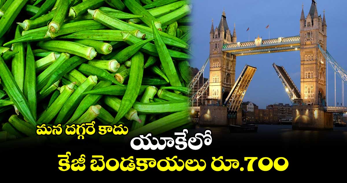 మన దగ్గరే కాదు : యూకేలో కిలో బెండకాయలు 700 రూపాయలు