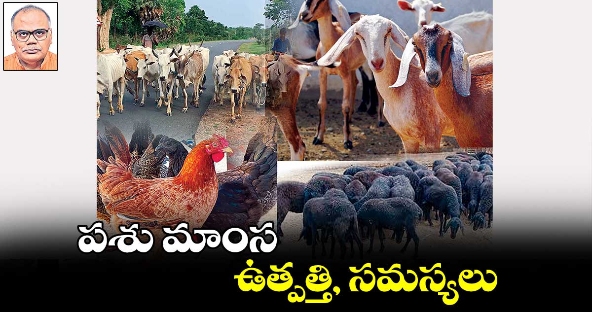 పశు మాంస ఉత్పత్తి, సమస్యలు