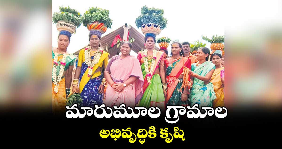 మారుమూల గ్రామాల అభివృద్ధికి కృషి : సీతక్క