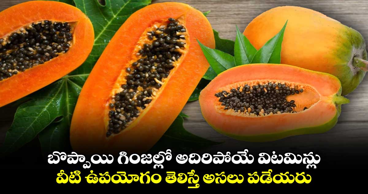 Good Health: బొప్పాయి గింజల్లో అదిరిపోయే విటమిన్లు... వీటి ఉపయోగం తెలిస్తే అసలు పడేయరు..