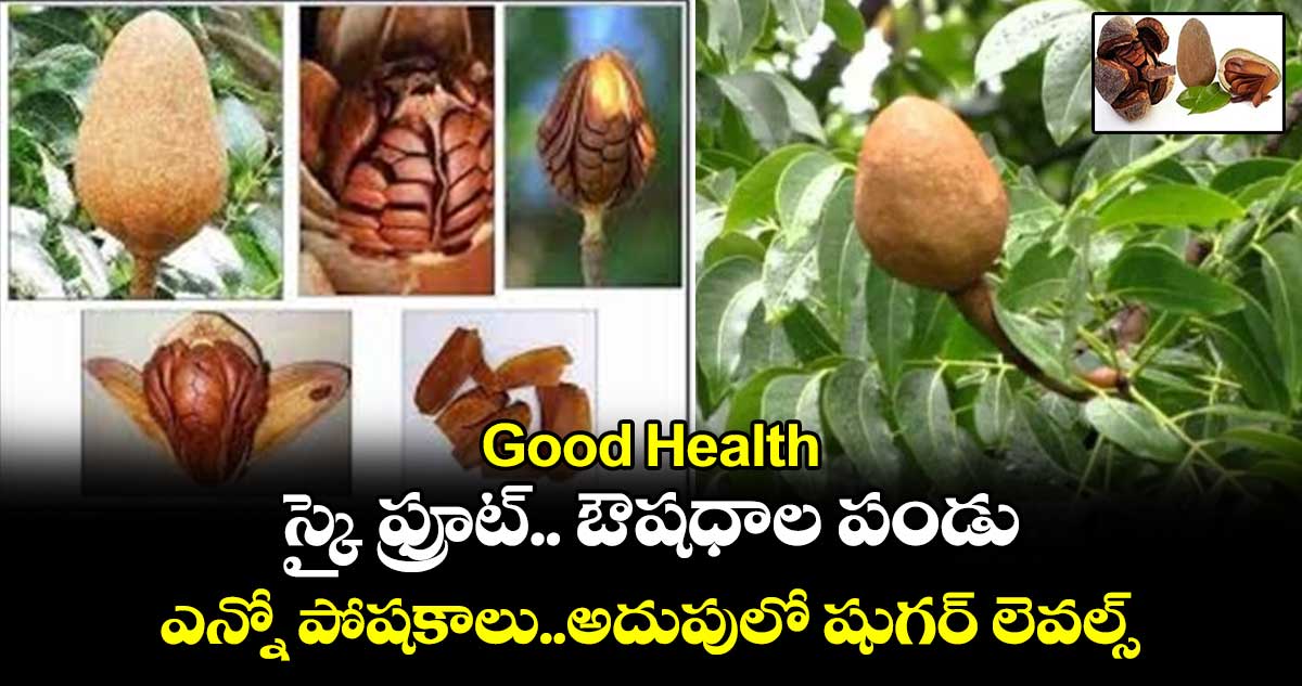 Good Health: స్కై ఫ్రూట్.. ఔషధాల పండు..  ఎన్నో పోషకాలు.. అదుపులో షుగర్​ లెవల్స్​