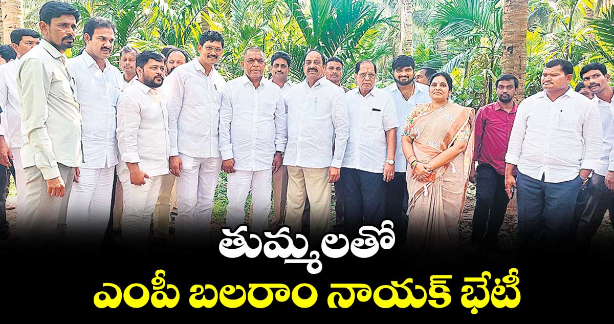 తుమ్మలతో ఎంపీ బలరాం నాయక్​ భేటీ