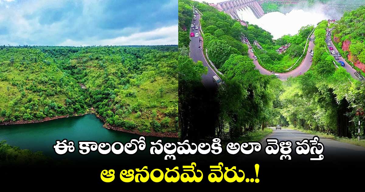 Moonsoon Tour : ఈ కాలంలో నల్లమలకి అలా వెళ్లి వస్తే ఆ ఆనందమే వేరు..!