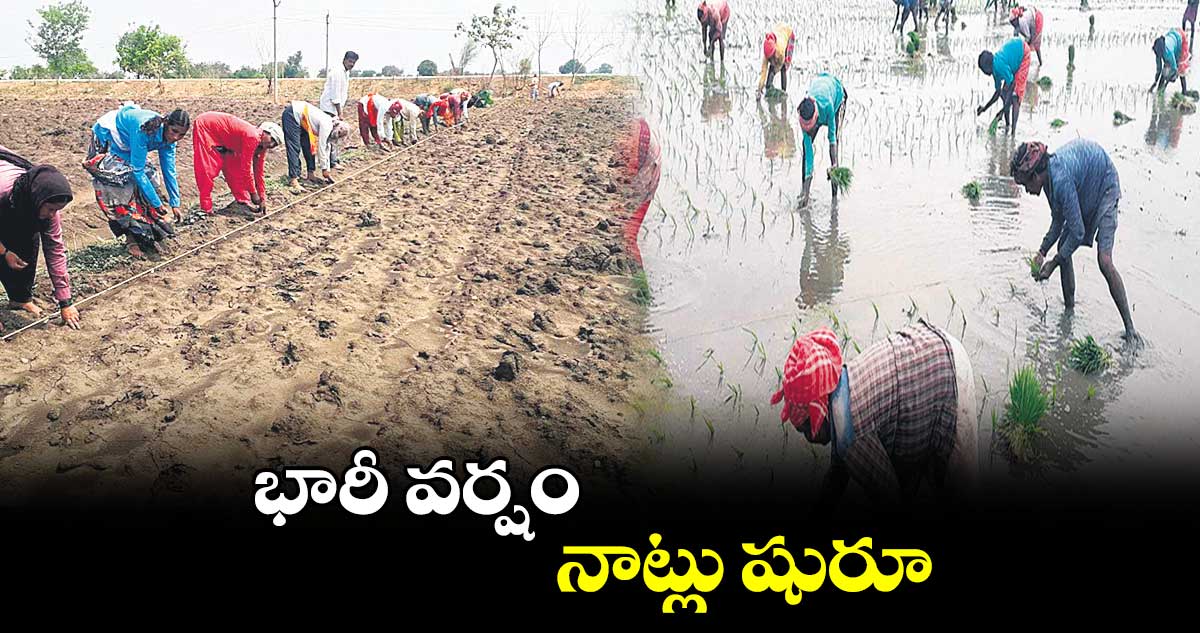 భారీ వర్షం.. నాట్లు షురూ