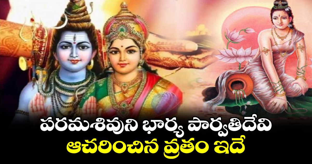 పరమశివుని భార్య పార్వతిదేవి ఆచరించిన వ్రతం ఇదే....