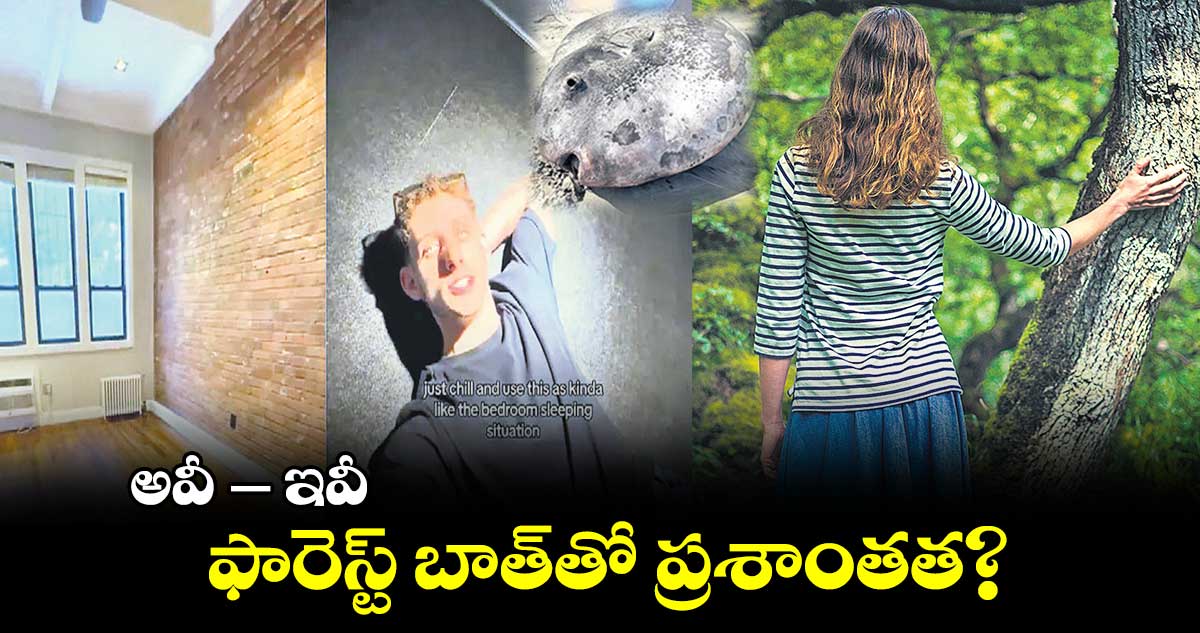 అవీ-- – ఇవీ : ఫారెస్ట్ బాత్​తో ప్రశాంతత?