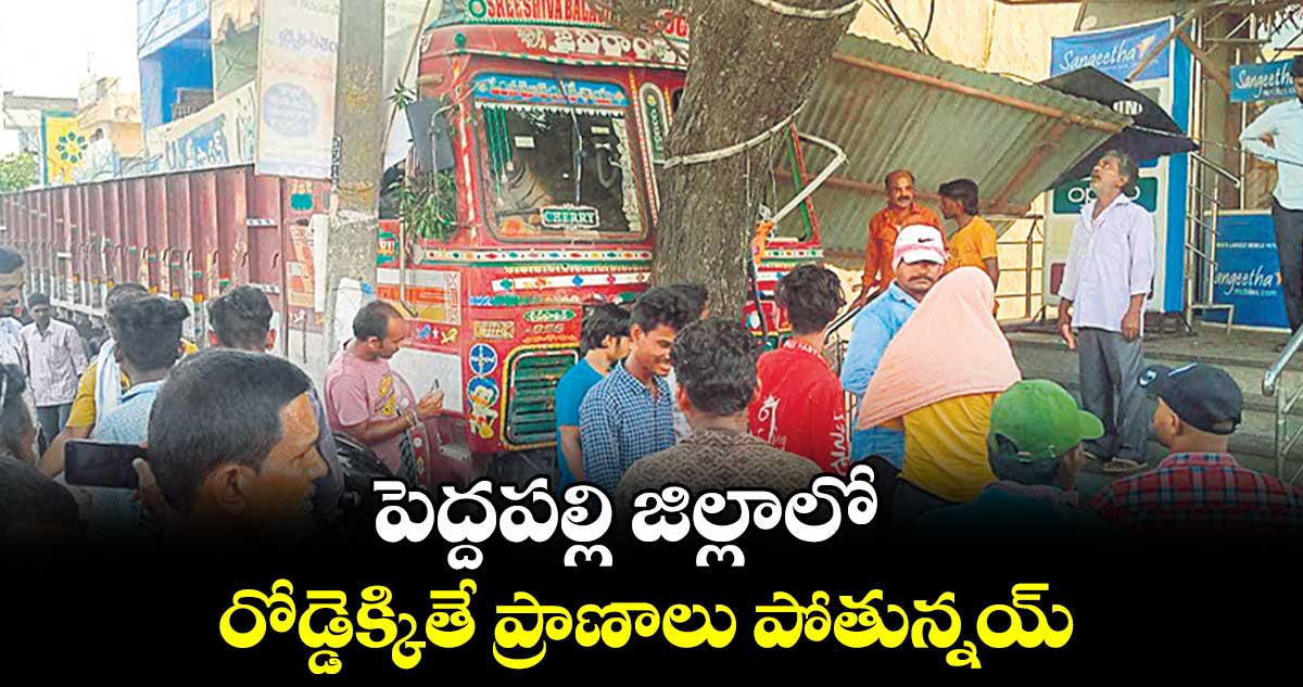 పెద్దపల్లి జిల్లాలో రోడ్డెక్కితే ప్రాణాలు పోతున్నయ్‌‌‌‌‌‌‌‌.. 