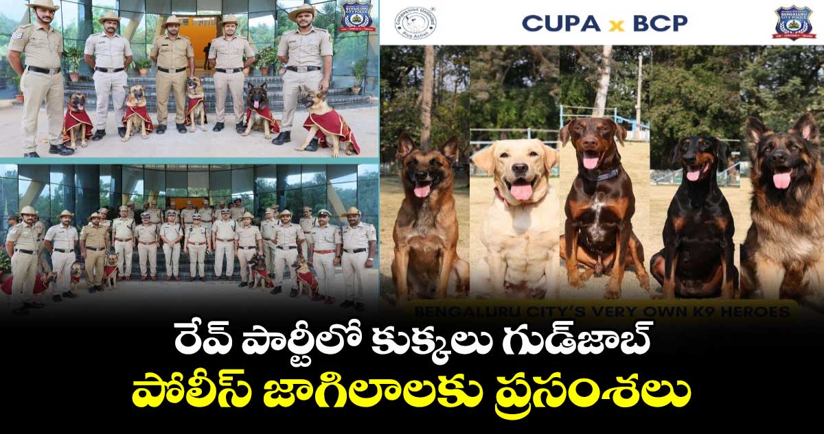 రేవ్ పార్టీలో కుక్కలు గుడ్‍జాబ్: పోలీస్ జాగిలాలకు ప్రసంశలు