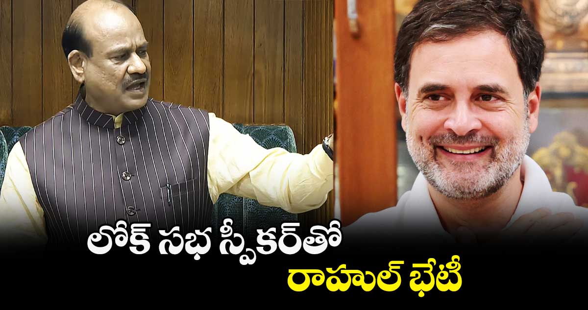 లోక్ సభ స్పీకర్‌తో రాహుల్ భేటీ