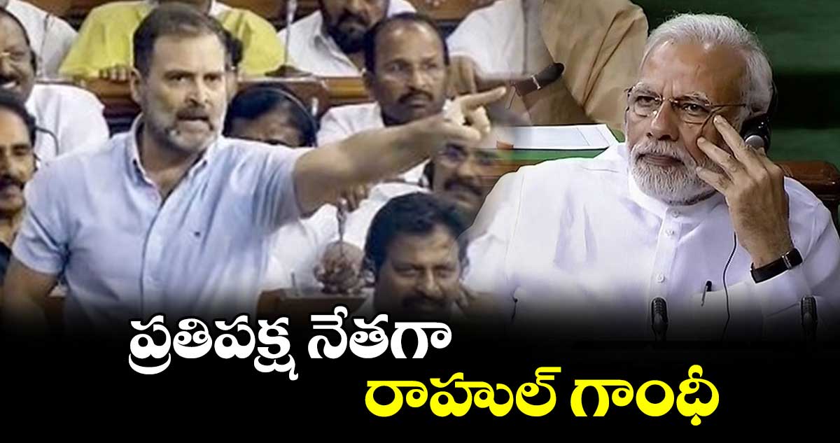 ప్రతిపక్ష నేతగా రాహుల్ గాంధీ
