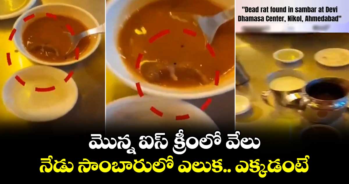 Video Viral: మొన్న ఐస్ క్రీంలో వేలు.. నేడు సాంబారులో ఎలుక.. ఎక్కడంటే.