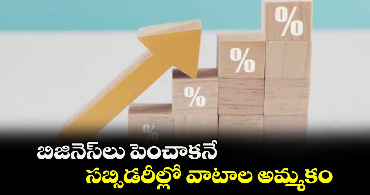 బిజినెస్లు పెంచాకనే సబ్సిడరీల్లో వాటాల అమ్మకం