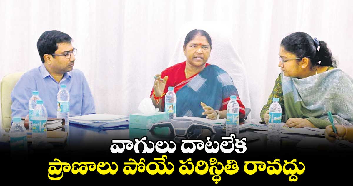 వాగులు దాటలేక ప్రాణాలు పోయే పరిస్థితి రావద్దు : సీతక్క