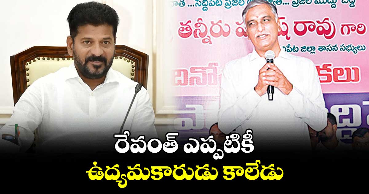 రేవంత్ ఎప్పటికీ ఉద్యమకారుడు కాలేడు : హరీశ్ రావు