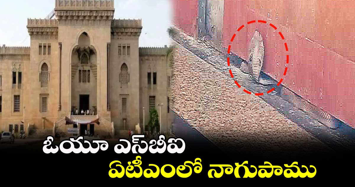 ఓయూ ఎస్బీఐ ఏటీఎంలో నాగుపాము