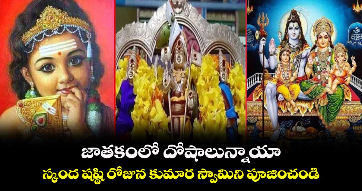 Astrology: జాతకంలో దోషాలున్నాయా.. స్కంద షష్ఠి రోజున కుమార స్వామిని పూజించండి..