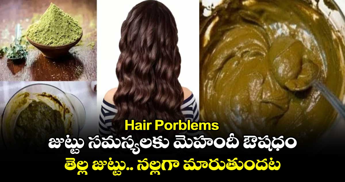 Hair Porblems: జుట్టు సమస్యలకు మెహందీ  ఔషధం.. తెల్ల జుట్టు .. నల్లగా మారుతుందట...