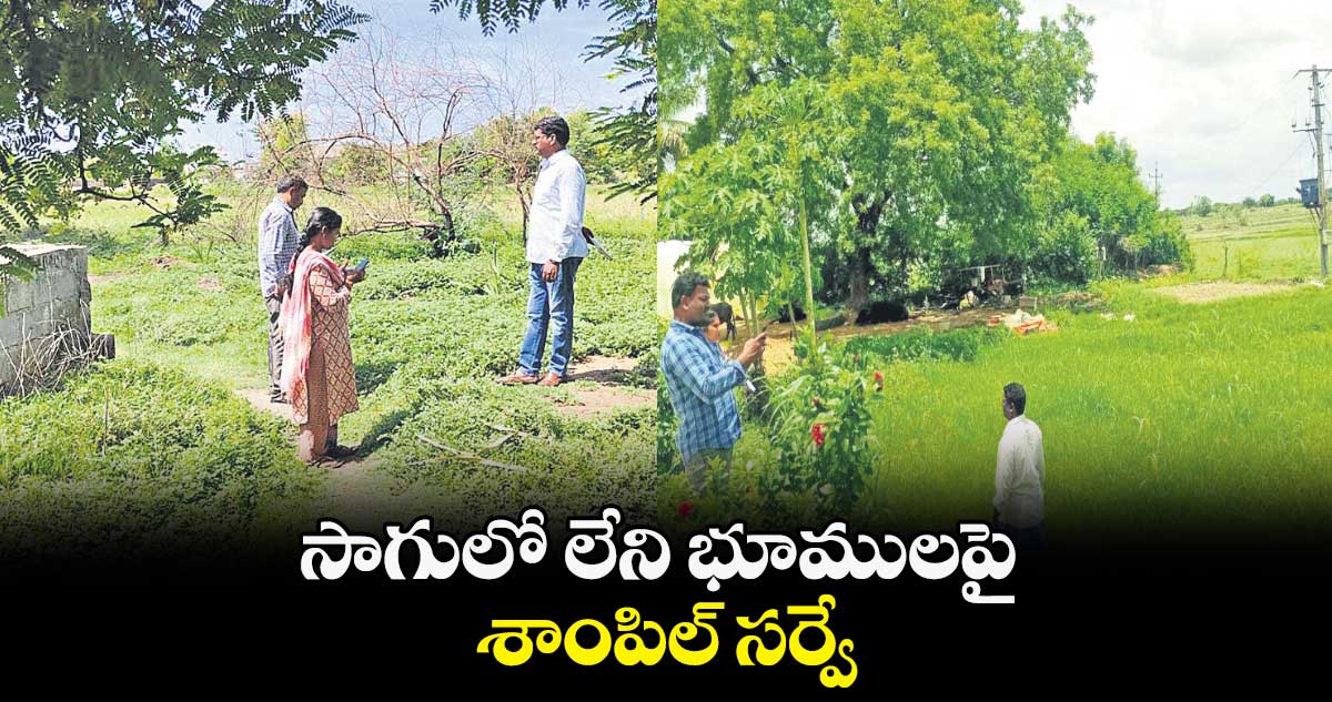సాగులో లేని భూములపై శాంపిల్ సర్వే