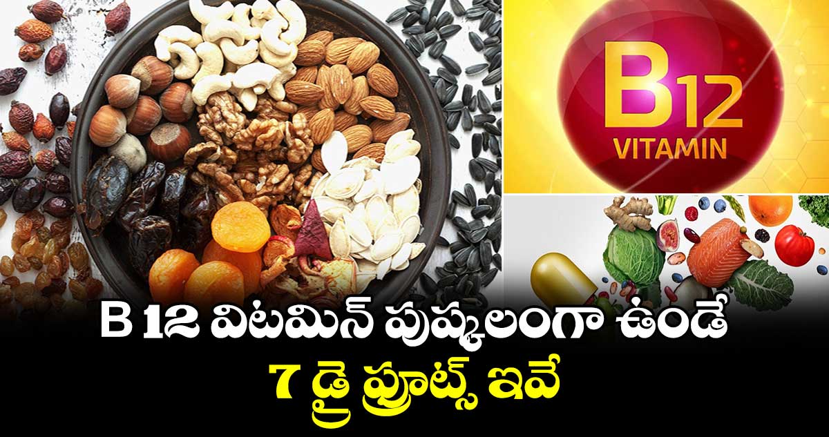 B 12 విటమిన్ పుష్కలంగా ఉండే 7 డ్రై ఫ్రూట్స్ ఇవే..