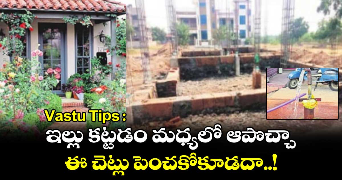 Vastu Tips : ఇల్లు కట్టడం మధ్యలో ఆపొచ్చా.. ఈ చెట్లు పెంచకోకూడదా..!