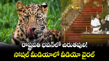  రాష్ట్రపతి భవన్‌లో చిరుతపులి!.. సోషల్ మీడియాలో వీడియో వైరల్ 