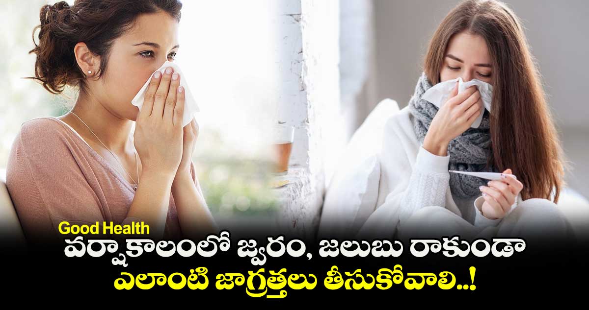 Good Health : వర్షాకాలంలో జ్వరం, జలుబు రాకుండా ఎలాంటి జాగ్రత్తలు తీసుకోవాలి..!