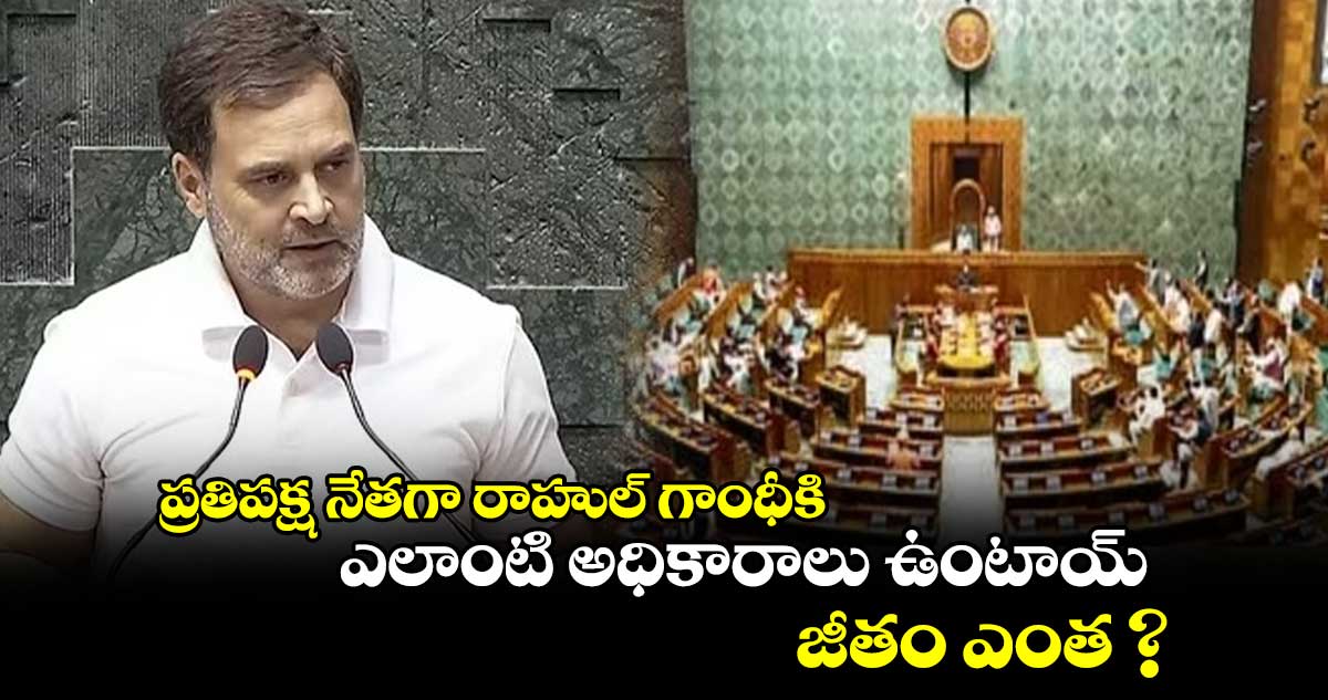 ప్రతిపక్ష నేతగా రాహుల్ గాంధీకి ఎలాంటి అధికారాలు ఉంటాయ్.. జీతం ఎంత ?