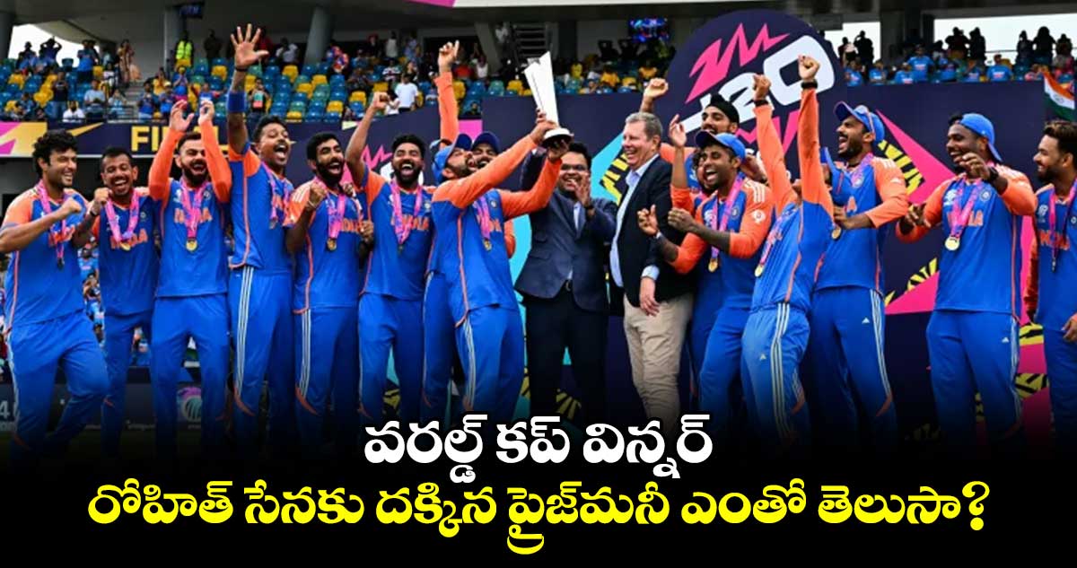 T20 World Cup : టీమిండియాకు దక్కిన ప్రైజ్ మనీ ఎంతో తెలుసా?