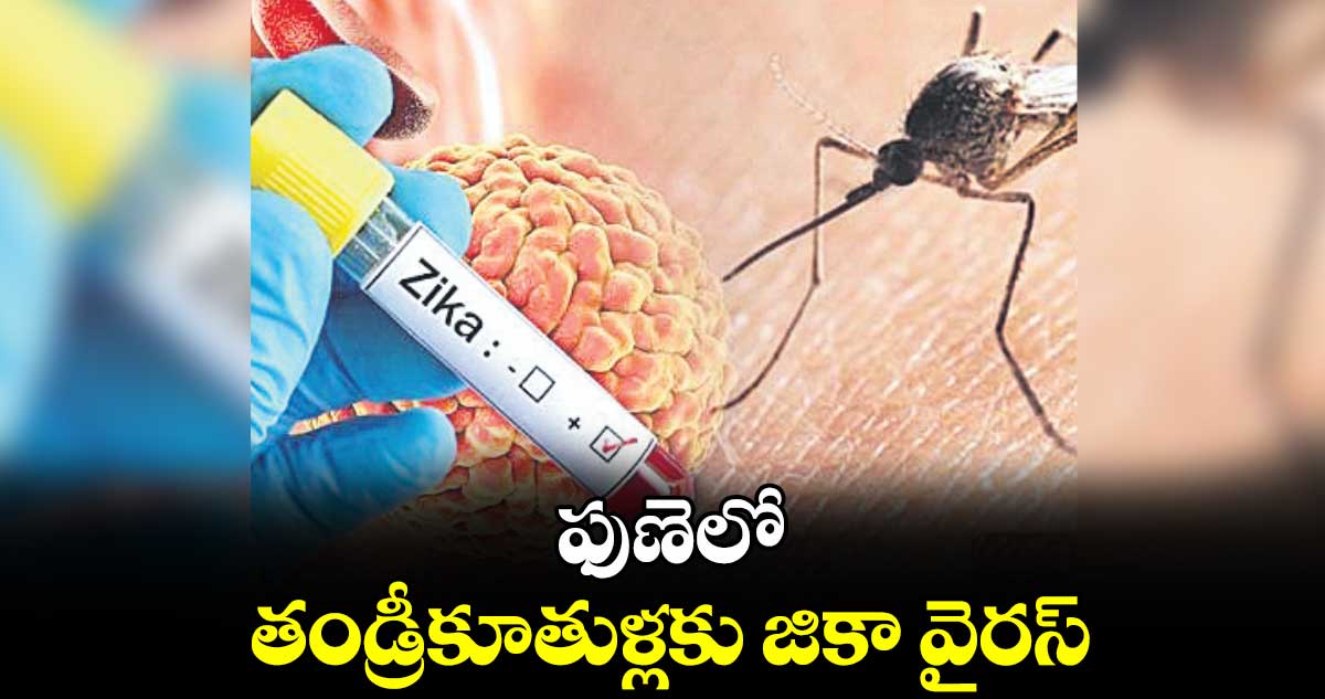 ఫుణెలో తండ్రీకూతుళ్లకు జికా వైరస్