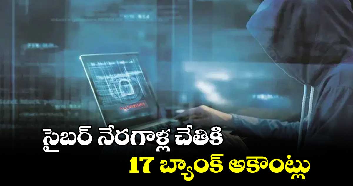 సైబర్ నేరగాళ్ల చేతికి 17 బ్యాంక్ అకౌంట్లు