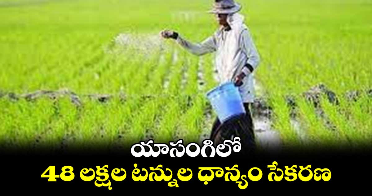 యాసంగిలో 48 లక్షల టన్నుల ధాన్యం సేకరణ
