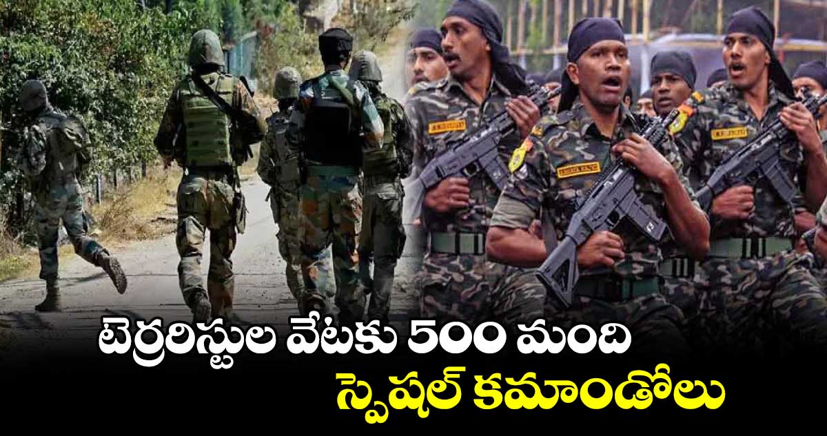 టెర్రరిస్టుల వేటకు 500 మంది స్పెషల్ కమాండోలు