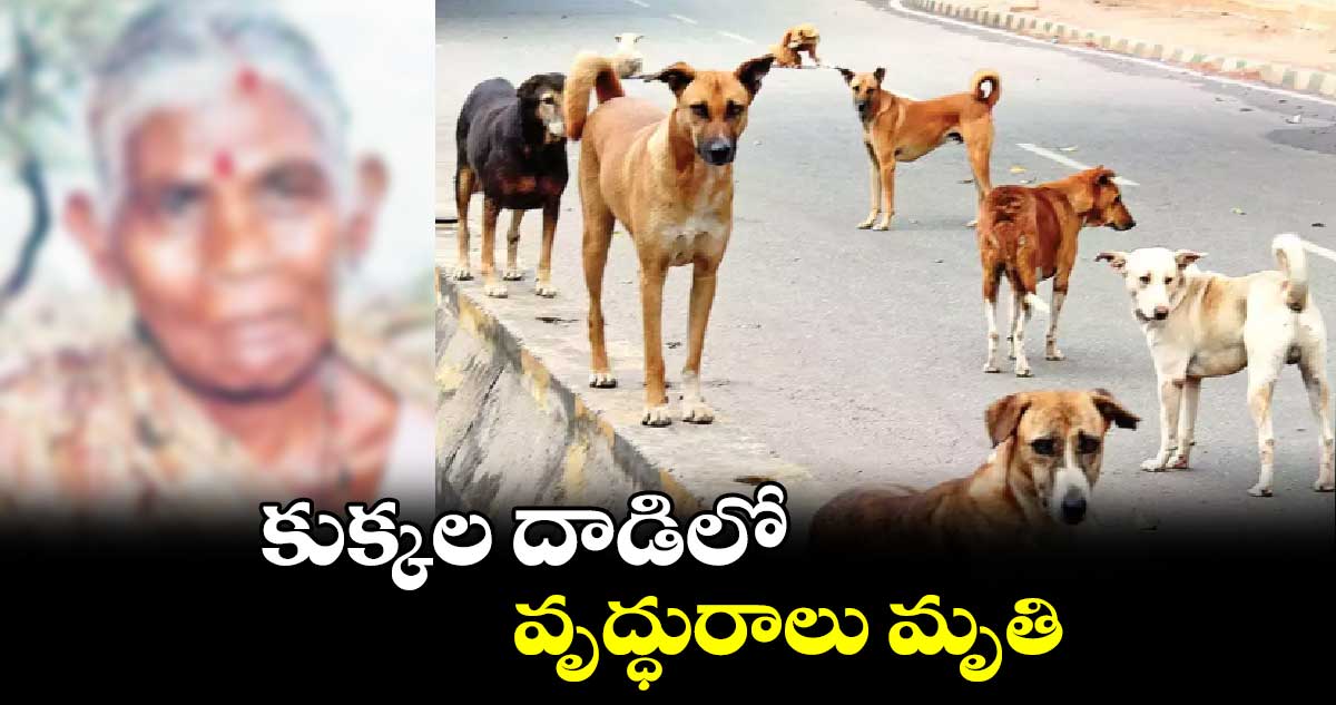 కుక్కల దాడిలో వృద్ధురాలు మృతి