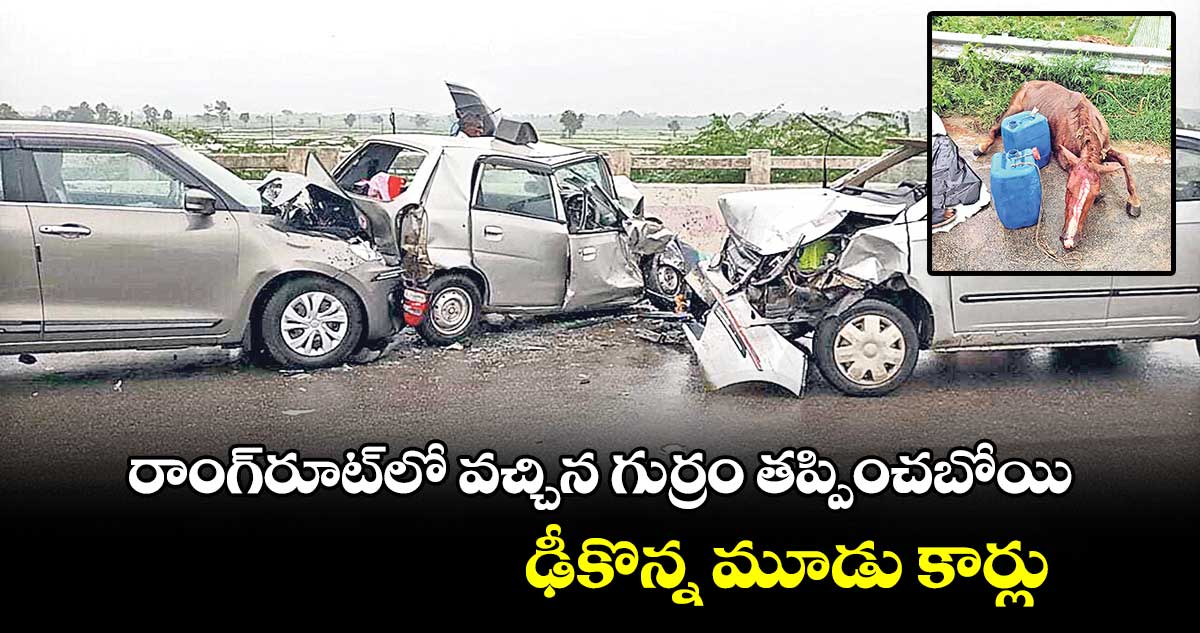 రాంగ్​రూట్‌లో వచ్చిన గుర్రం తప్పించబోయి ఢీకొన్న మూడు కార్లు