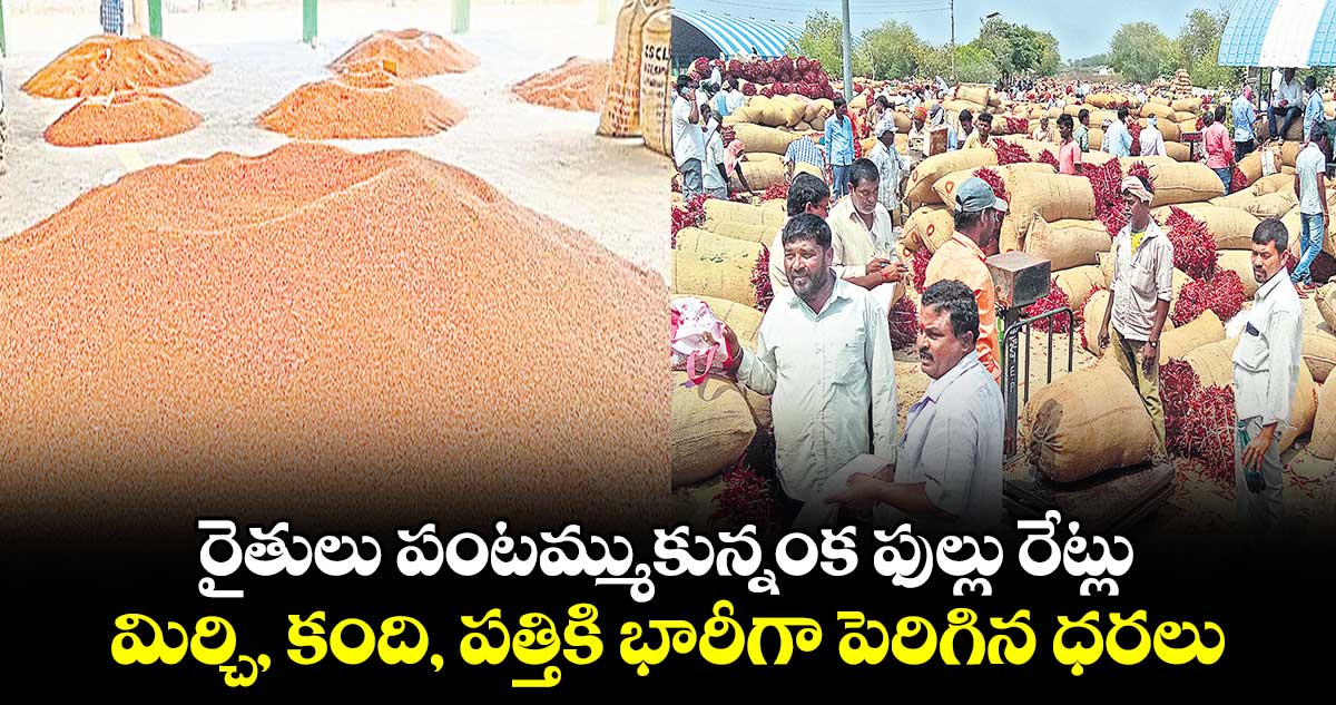 రైతులు పంటమ్ముకున్నంక ఫుల్లు రేట్లు.. మిర్చి, కంది, పత్తికి భారీగా పెరిగిన ధరలు
