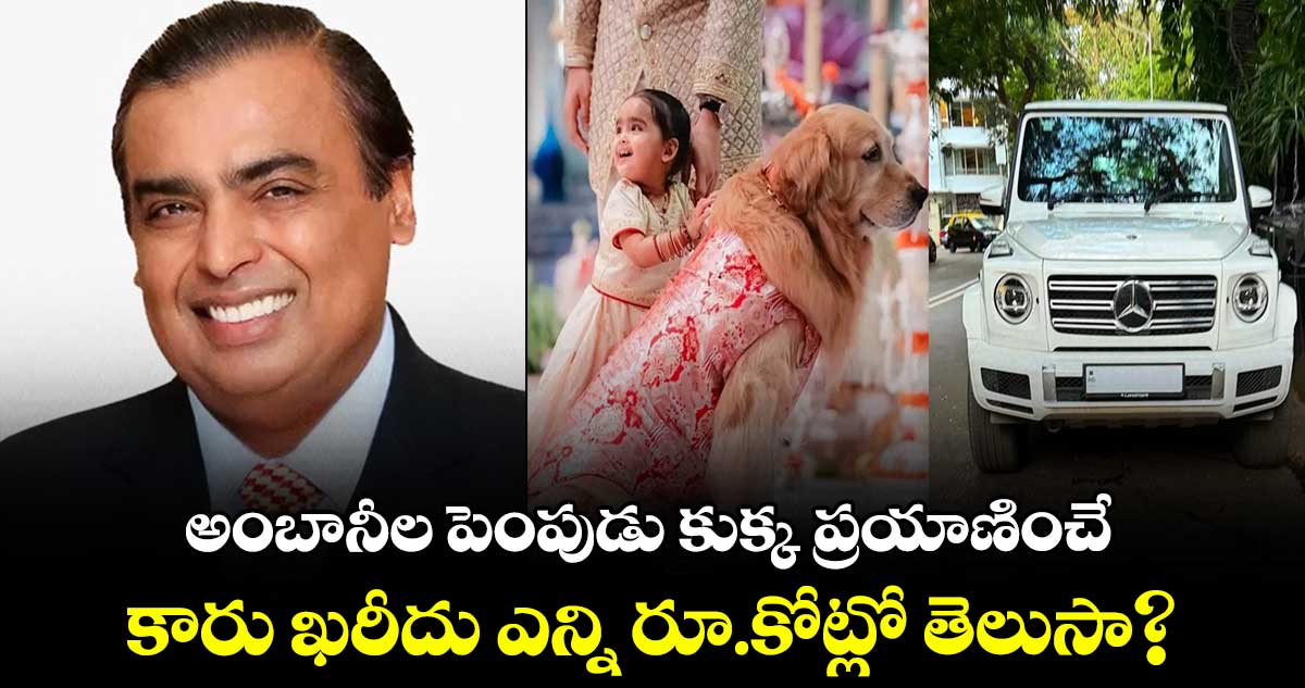 హ్యాపీ రాజసం..అంబానీల పెంపుడు కుక్క ప్రయాణించే..కారు ఖ‌రీదు ఎన్ని రూ.కోట్లో తెలుసా? 