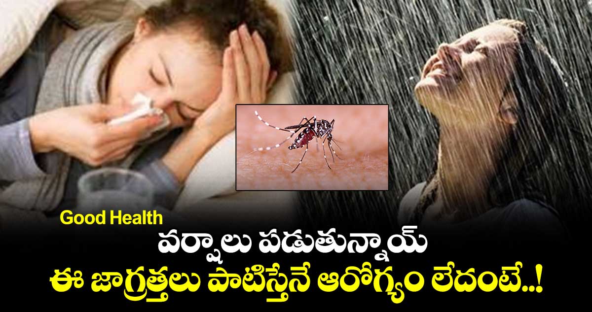 Good Health : వర్షాలు పడుతున్నాయ్.. ఈ జాగ్రత్తలు పాటిస్తేనే ఆరోగ్యం లేదంటే..!