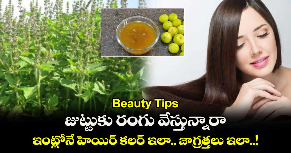 Beauty Tips : జుట్టుకు రంగు వేస్తు్న్నారా.. ఇంట్లోనే హెయిర్ కలర్ ఇలా.. జాగ్రత్తలు ఇలా..!