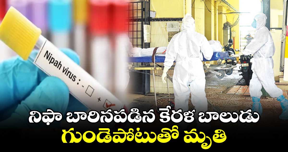నిఫా బారినపడిన కేరళ బాలుడు గుండెపోటుతో మృతి