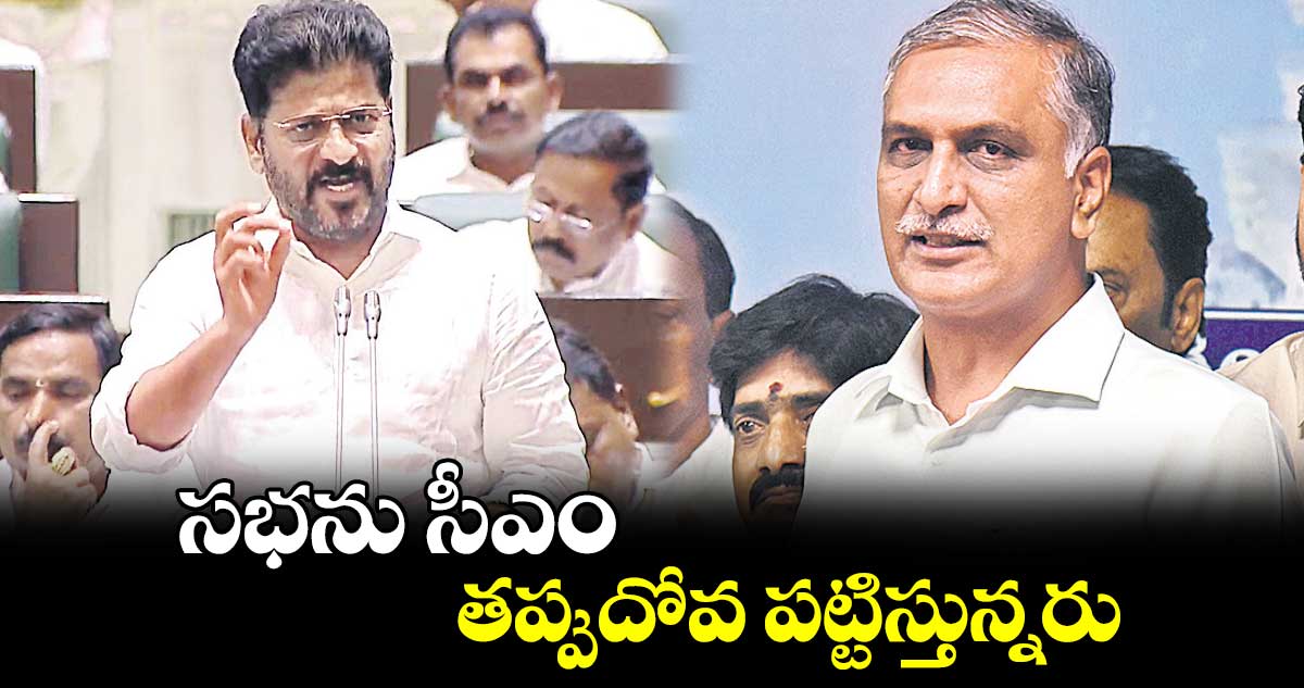 సభను సీఎం తప్పుదోవ పట్టిస్తున్నరు