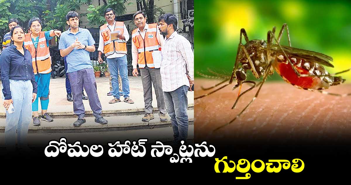 దోమల హాట్​ స్పాట్లను గుర్తించాలి