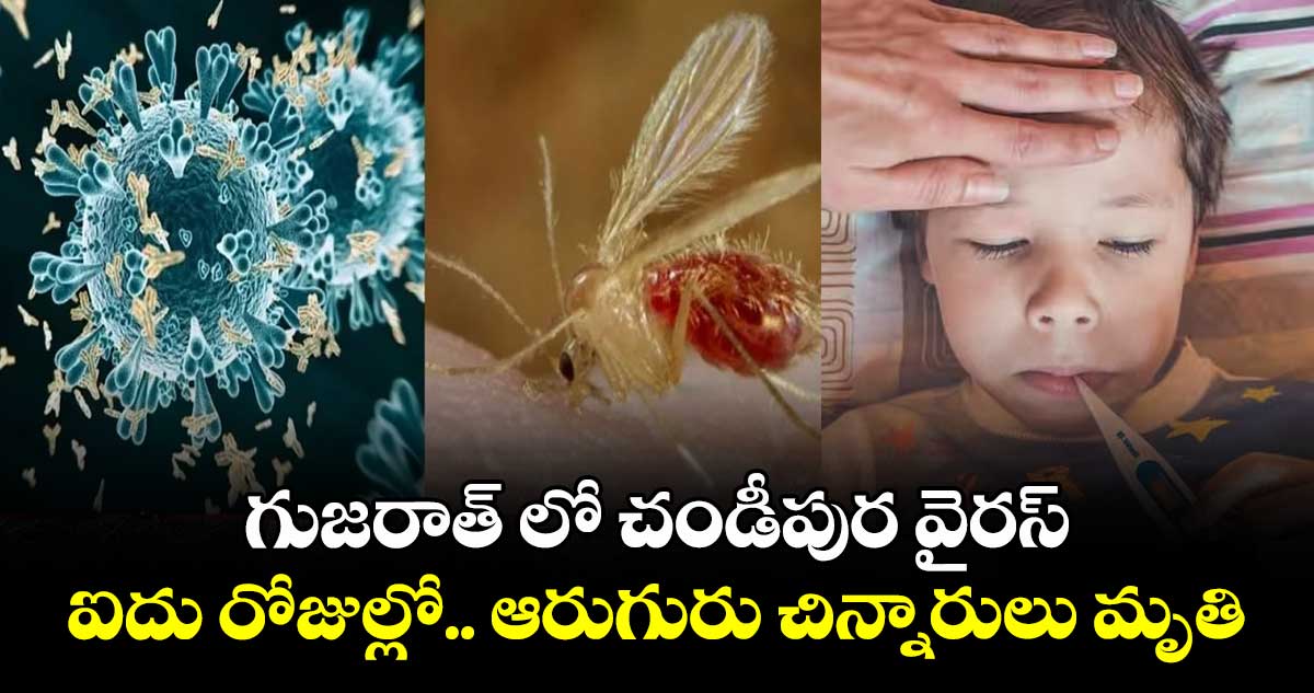 Health Alert: గుజరాత్​ లో చండీపుర  వైరస్​: ఐదు రోజుల్లో ....ఆరుగురు చిన్నారులు మృతి