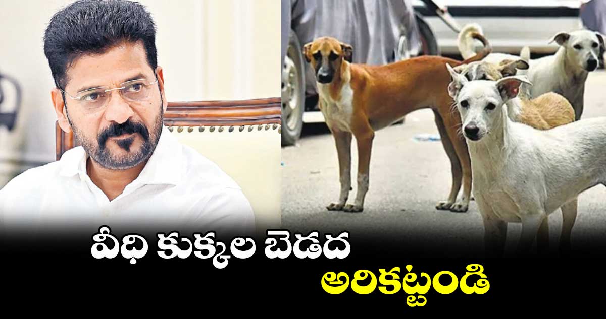 వీధి కుక్కల బెడద అరికట్టండి: సీఎం రేవంత్ రెడ్డి ఆదేశం