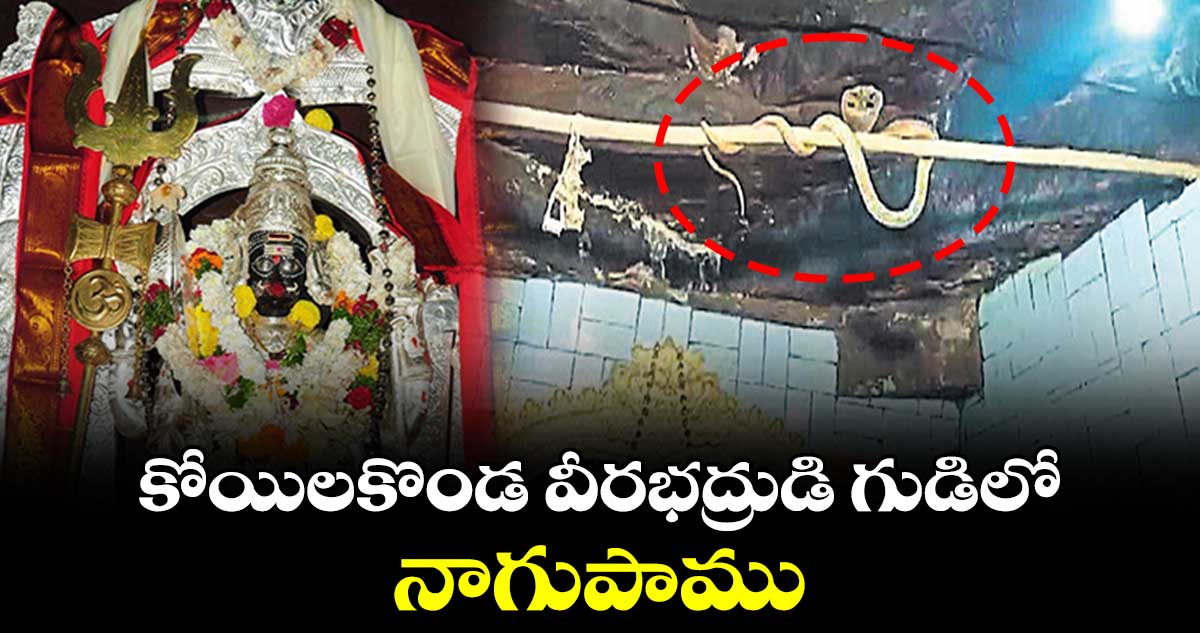  కోయిలకొండ వీరభద్రుడి గుడిలో నాగుపాము