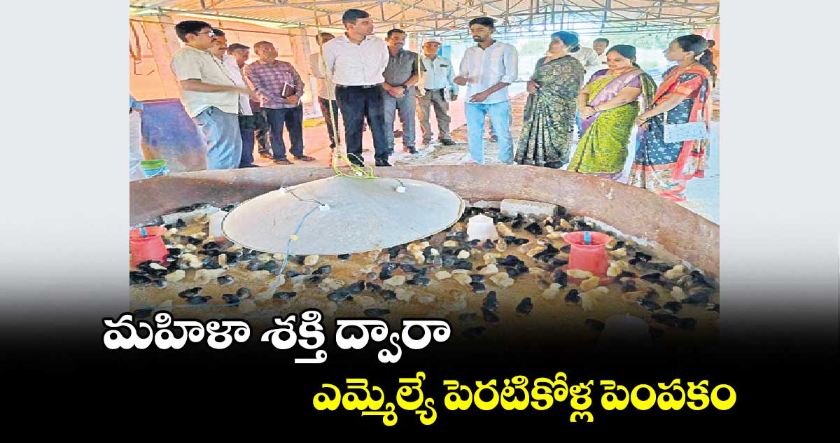 మహిళా శక్తి ద్వారా పెరటికోళ్ల పెంపకం :  కలెక్టర్ ​మనుచౌదరి