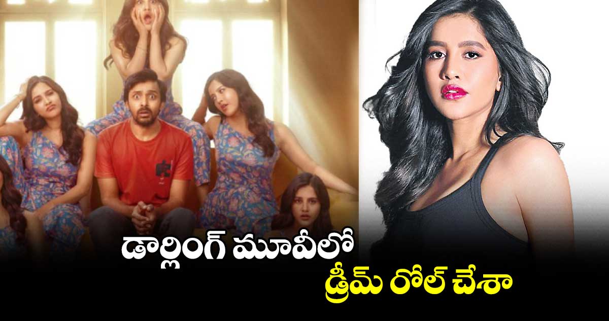 డార్లింగ్ మూవీలో డ్రీమ్ రోల్ చేశా : నభా నటేష్ 