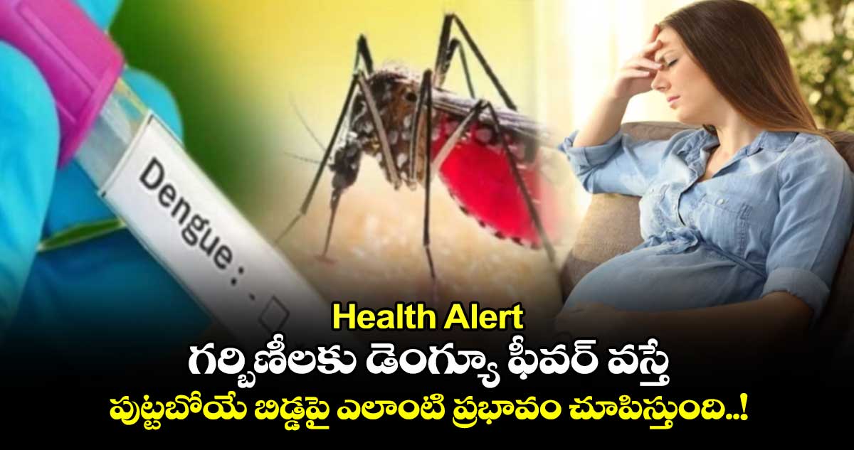 Health Alert : గర్బిణీలకు డెంగ్యూ ఫీవర్ వస్తే.. పుట్టబోయే బిడ్డపై ఎలాంటి ప్రభావం చూపిస్తుంది..!