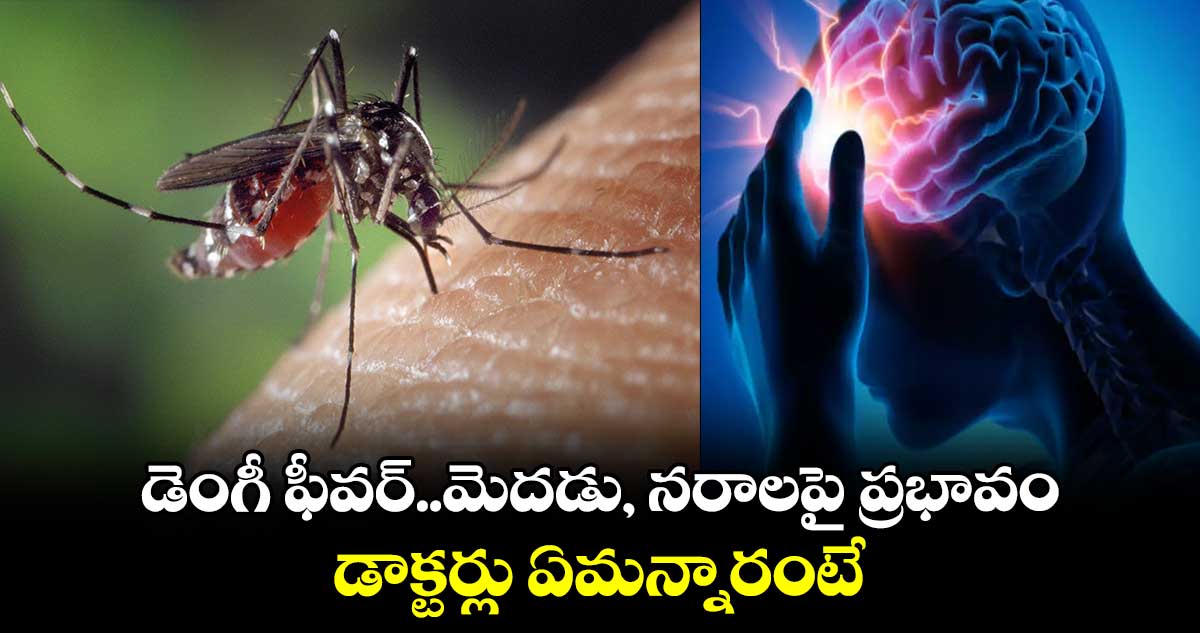 Dengue Fever: డెంగీ ఫీవర్..మెదడు, నరాలపై ప్రభావం..డాక్టర్లు ఏమన్నారంటే.. 