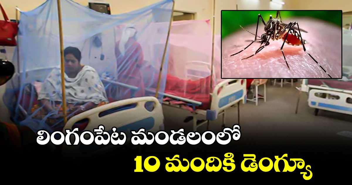 లింగంపేట మండలంలో 10 మందికి డెంగ్యూ