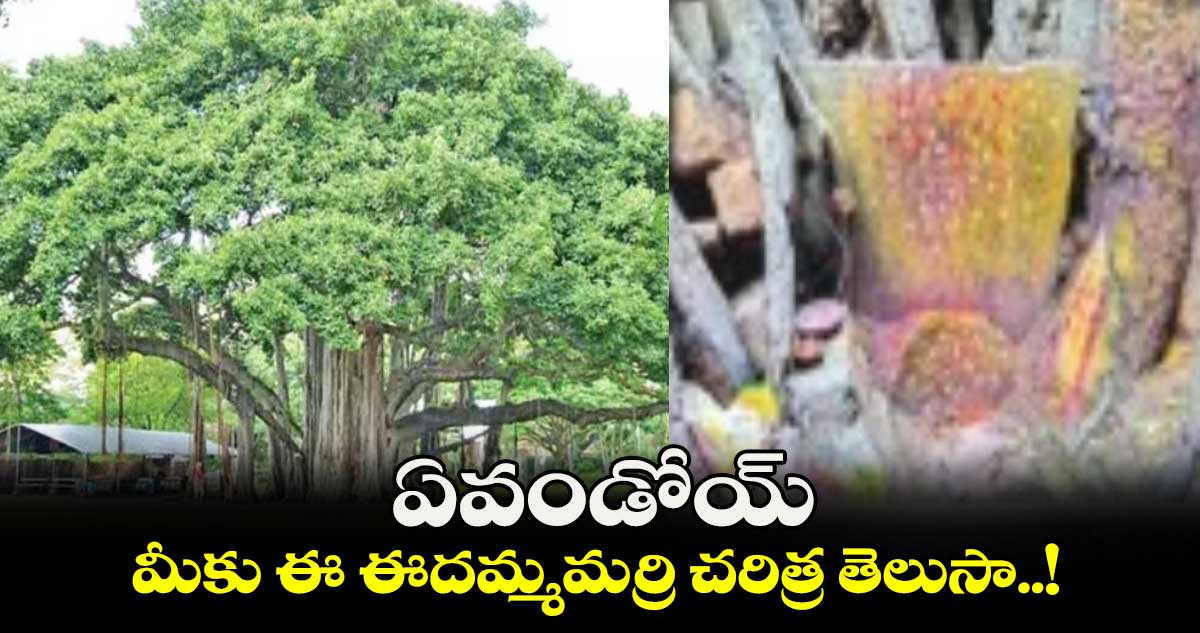 ఏవండోయ్.. మీకు ఈ ఈదమ్మమర్రి చరిత్ర తెలుసా..!